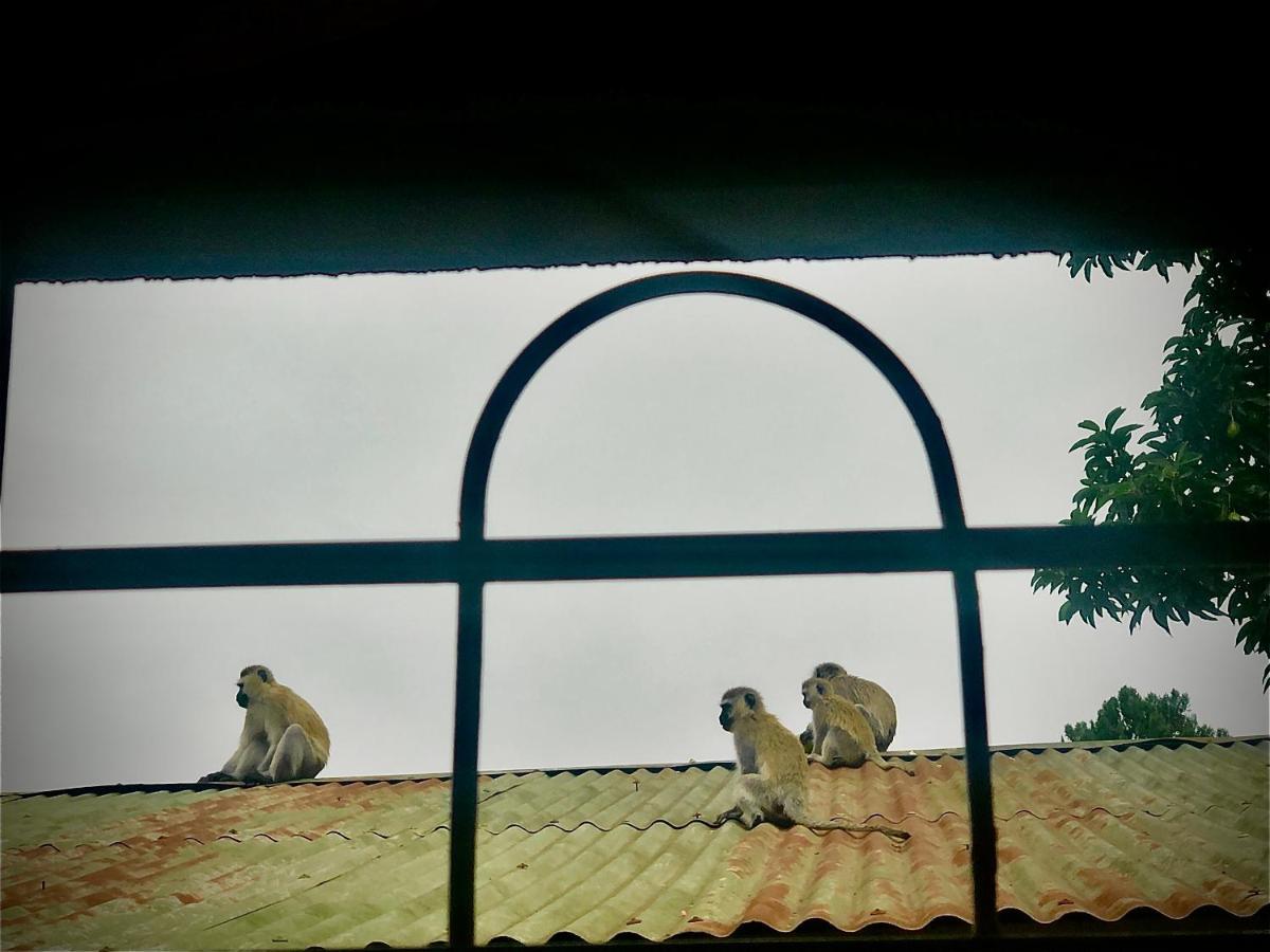 Safari Adventures-House Bed & Breakfast Arusha Bagian luar foto